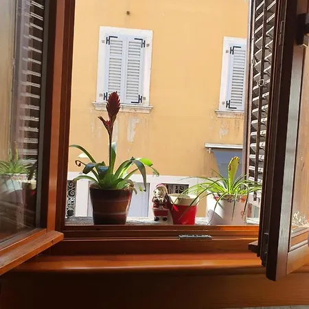 Lilia Daire Rovinj